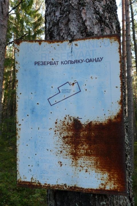 p1010631.jpg