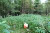 p1010633_small.jpg