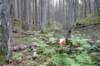 p1010634_small.jpg