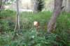 p1010638_small.jpg