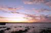 p1010646_small.jpg