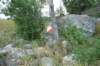 p1010653_small.jpg