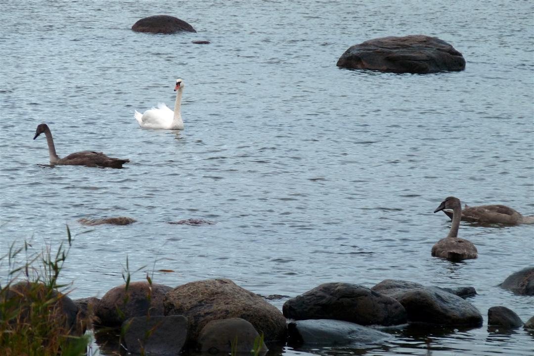 p1010654.jpg