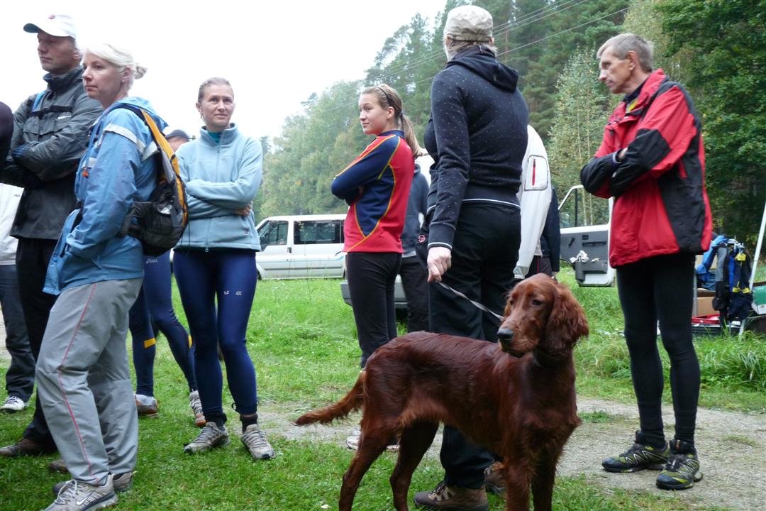 p1010658.jpg