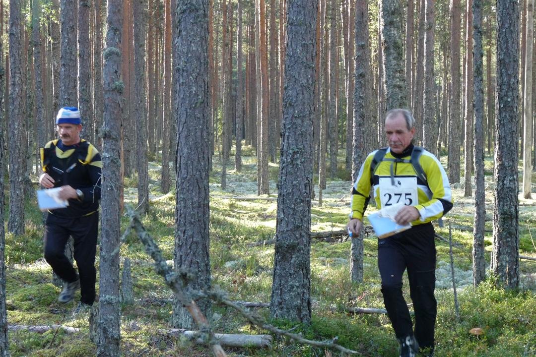 p1010739.jpg
