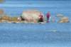 p1010804_small.jpg
