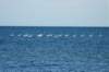 p1010852_small.jpg